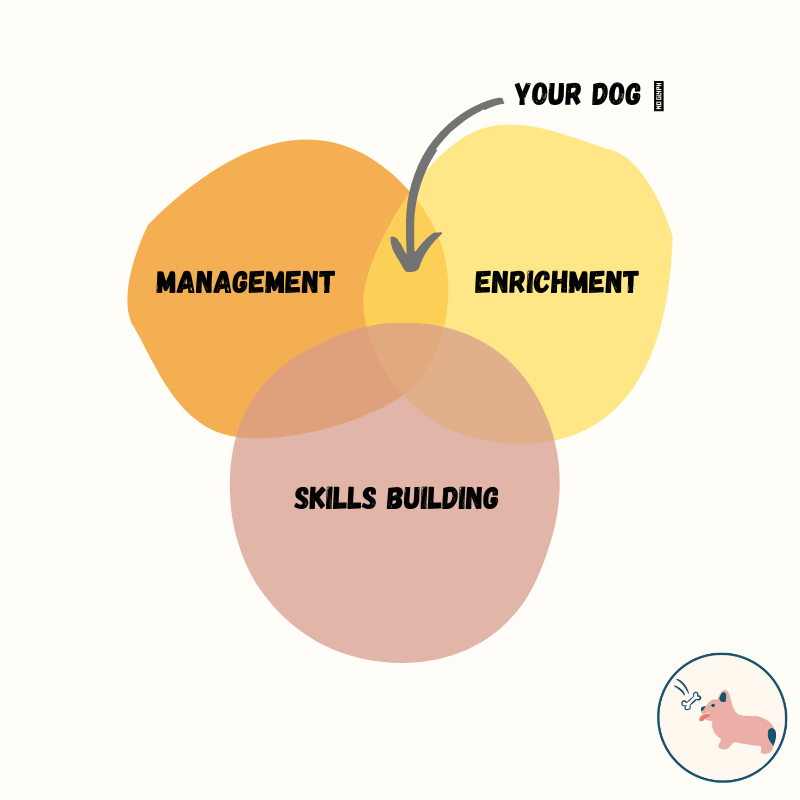 The 3 key pillars to your dog’s behavior&nbsp;plan