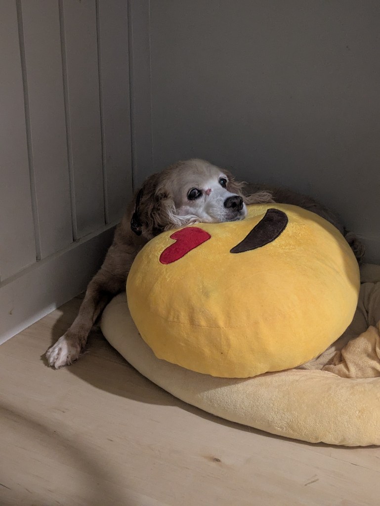 Sappho Cocker Spaniel pillow